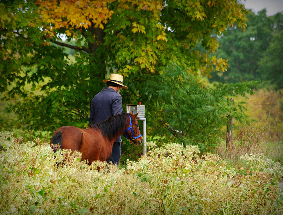 Amish Autumn Photograph by Linda Mishler