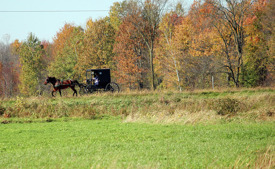 Amish Autumn Ride 2 Photograph by Brook Burling