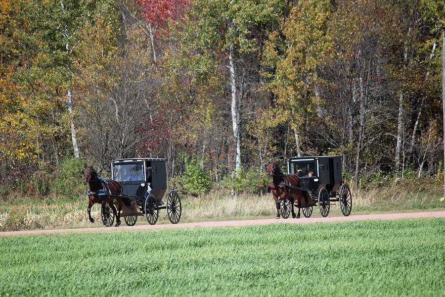 Amish Autumn Ride 3 Photograph by Brook Burling