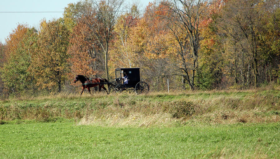 Amish Autumn Ride Photograph by Brook Burling
