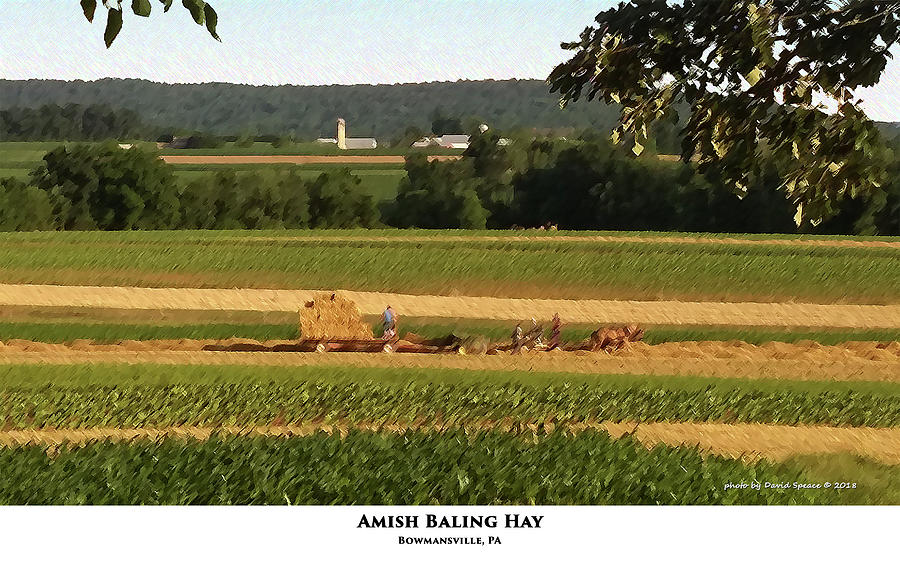 Amish Baling Hay Photograph by David Speace