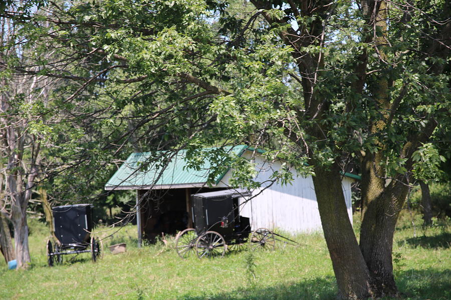 Amish Barn and Buggys Photograph by Rick Redman
