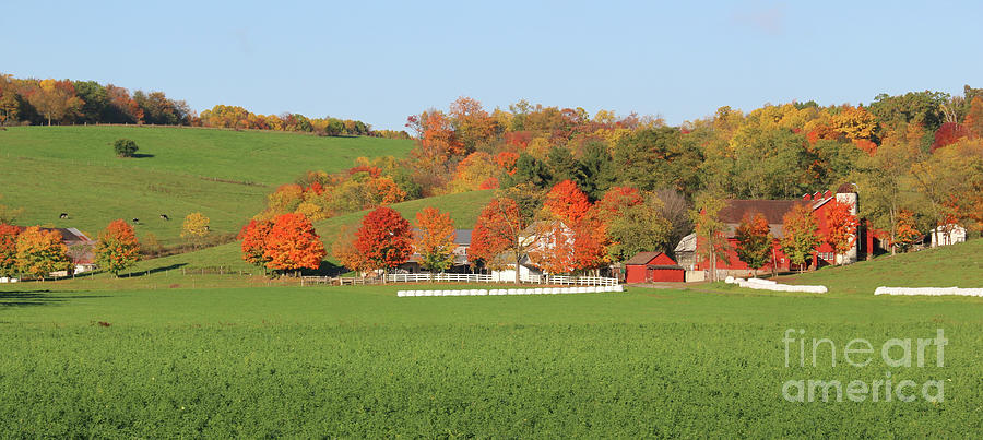 Amish Barn and Fall Color 5824 Photograph by Jack Schultz