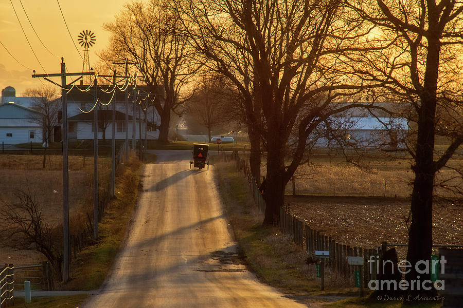 Amish Buggies at Dusk Photograph by David Arment