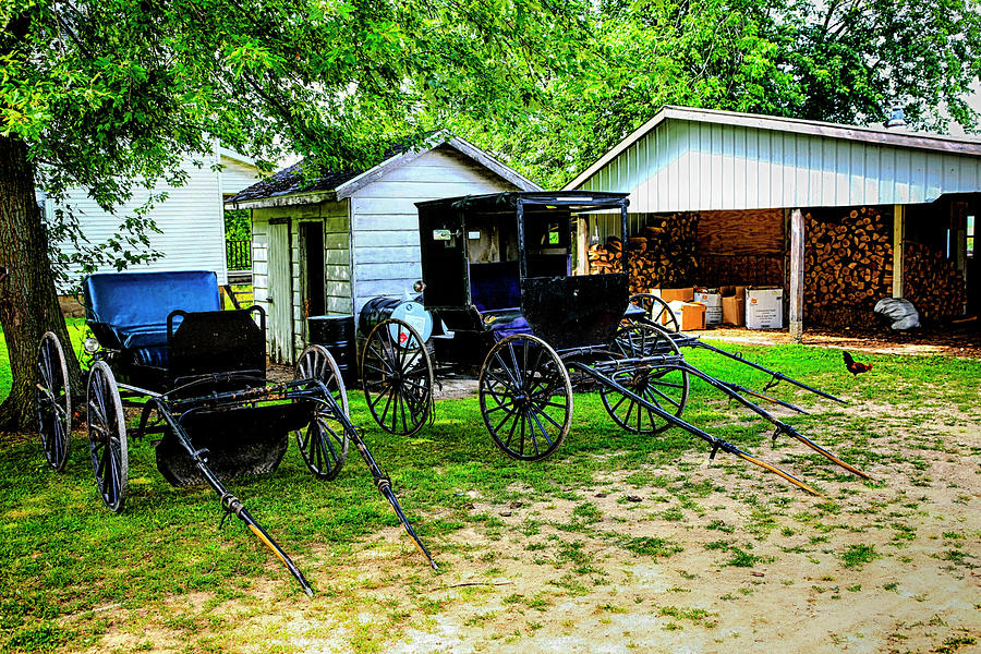 Amish buggies Photograph by Chris Smith