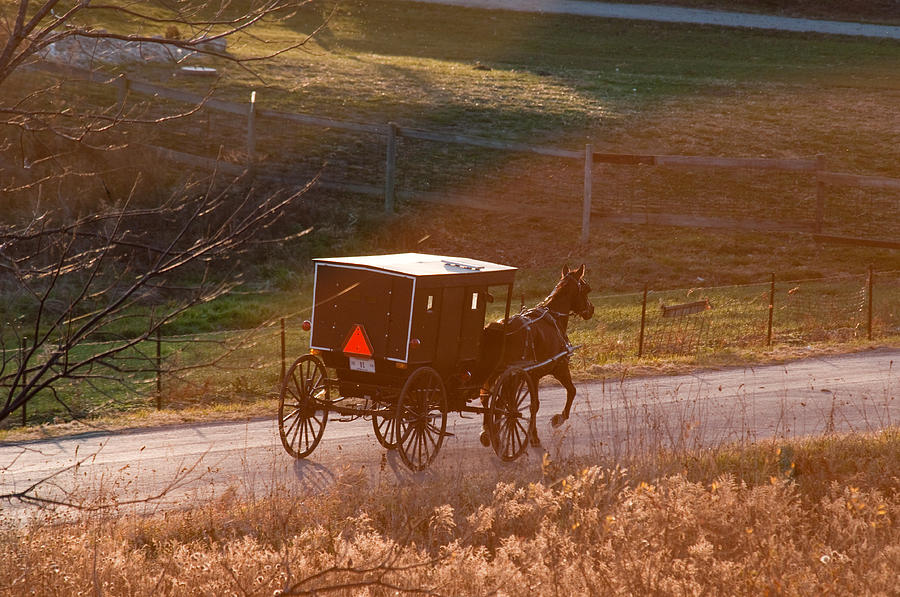 Amish buggy afternoon sun Photograph by David Arment
