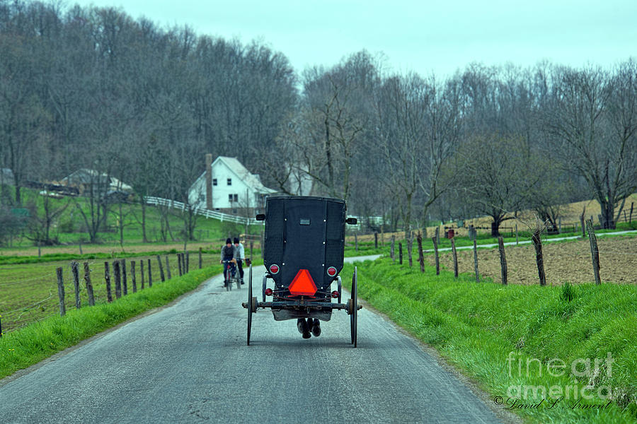 Amish Buggy and Bike Riders Photograph by David Arment