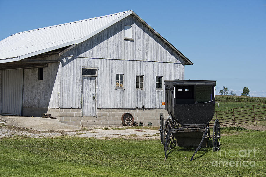 Amish Buggy and White Barn Photograph by David Arment