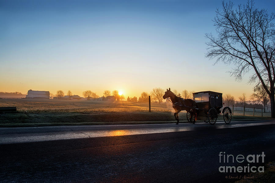 Amish Buggy at Dawn December Photograph by David Arment