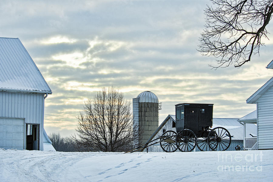 Amish Buggy at Morning Photograph by David Arment