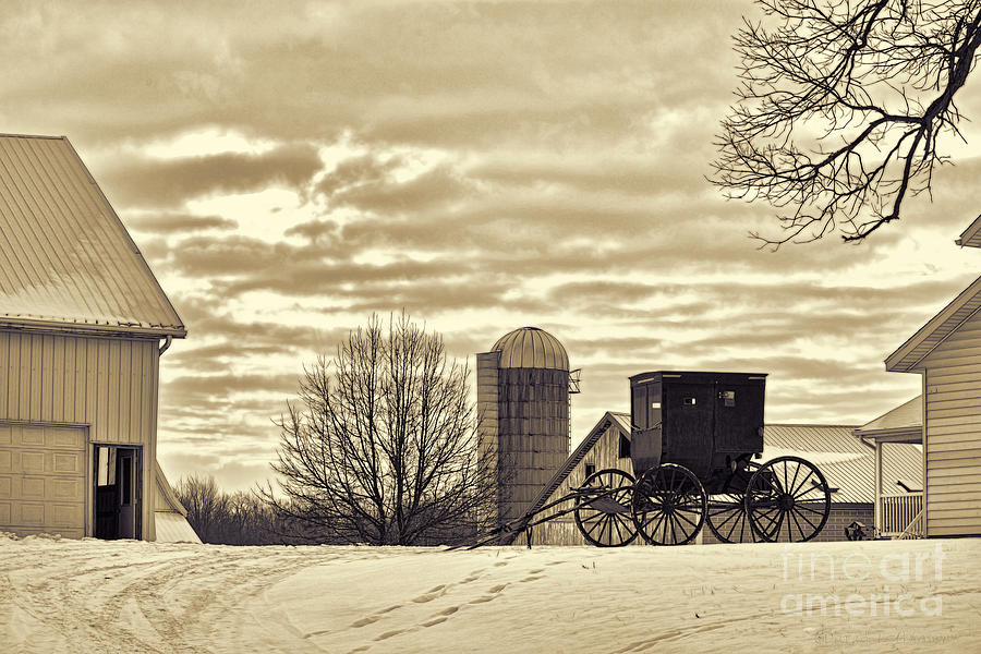 Amish Buggy at Morning Sepia Photograph by David Arment