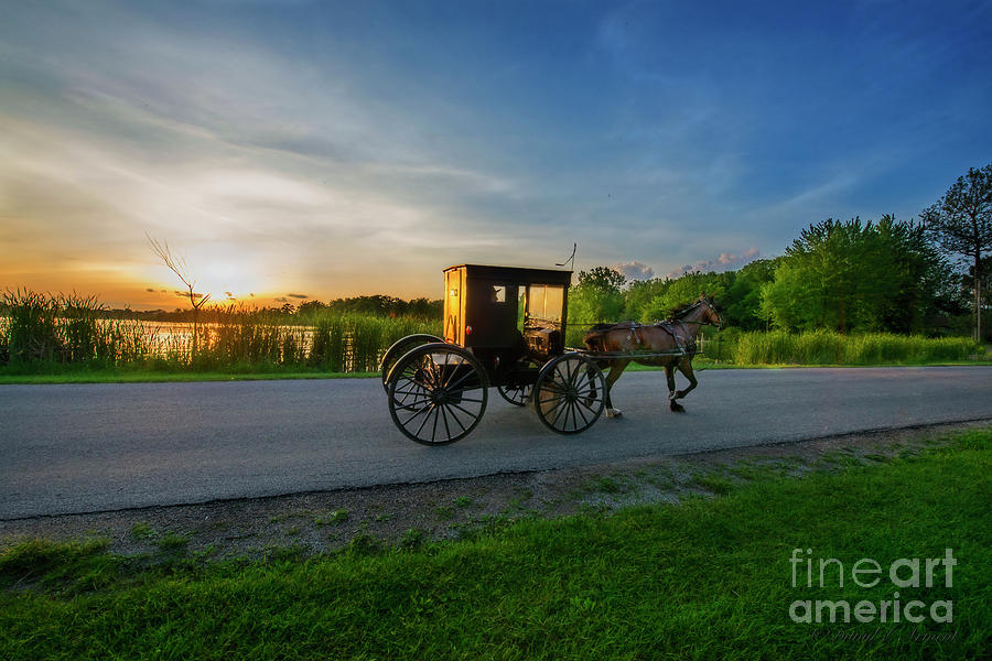 Amish Buggy at Sundown near the Lake Photograph by David Arment