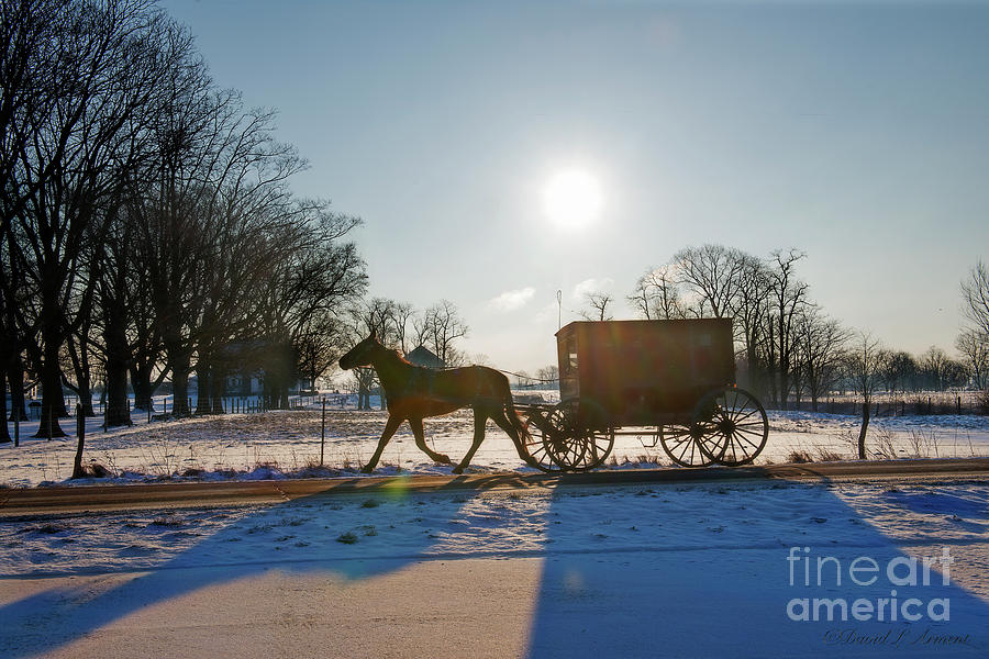 Amish Buggy Early Morning Photograph by David Arment