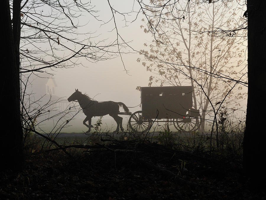 Horse Photograph - Amish Buggy Foggy Sunday by David Arment