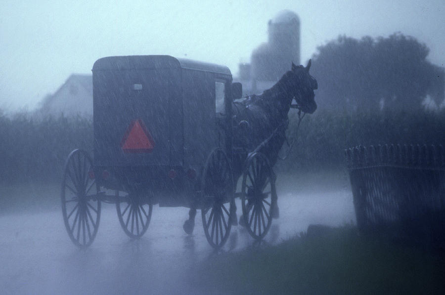 Amish Buggy in Rain Photograph by Blair Seitz