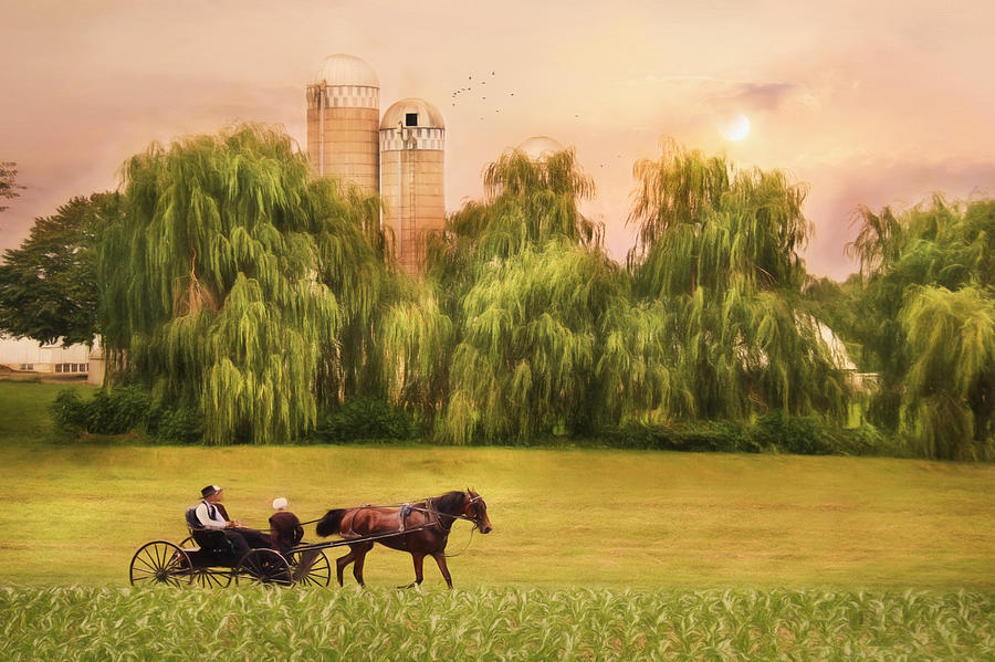 Farm Photograph - Amish Buggy Ride by Lori Deiter