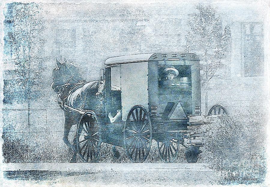 Amish Buggy Ride - Old Philadelphia Pike-Lancaster Pa. Photograph by Dyle Warren