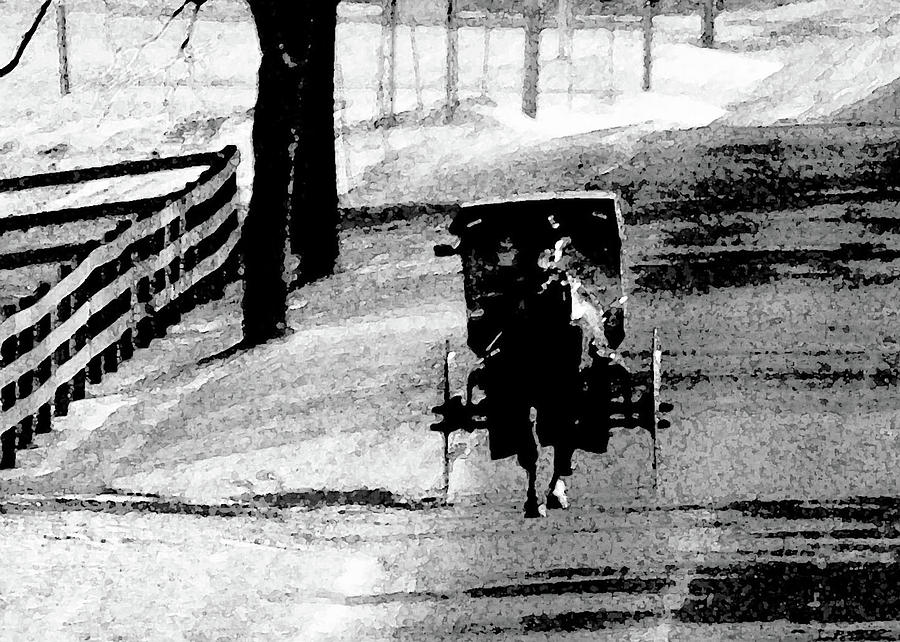 Amish Buggy Photograph by Robert Suggs