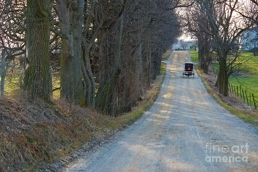 Amish Buggy Tree Lined Road at Dusk Photograph by David Arment