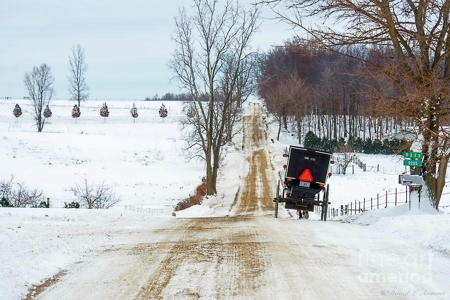 Amish Buggy Up the Hill One Photograph by David Arment
