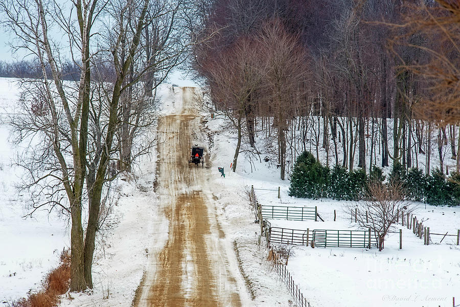 Amish Buggy Up the Hill Two Photograph by David Arment
