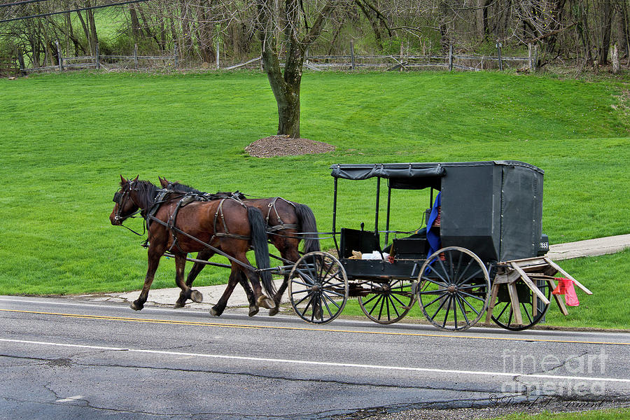 Amish Buggy with Saw Horses Photograph by David Arment