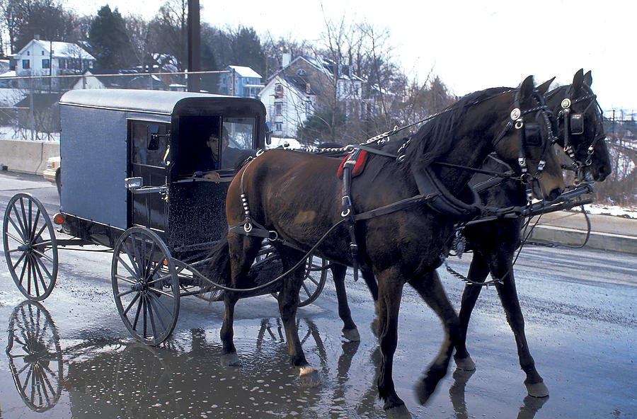 Amish Carriage In Pennsylvania Photograph