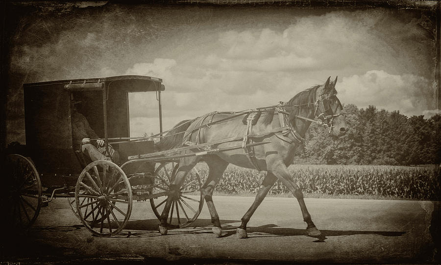 Amish Conveyance Digital Art by Jim Cook