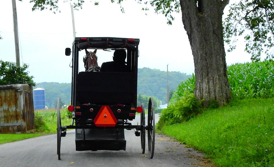 Amish Country Photograph by Charlotte Schafer
