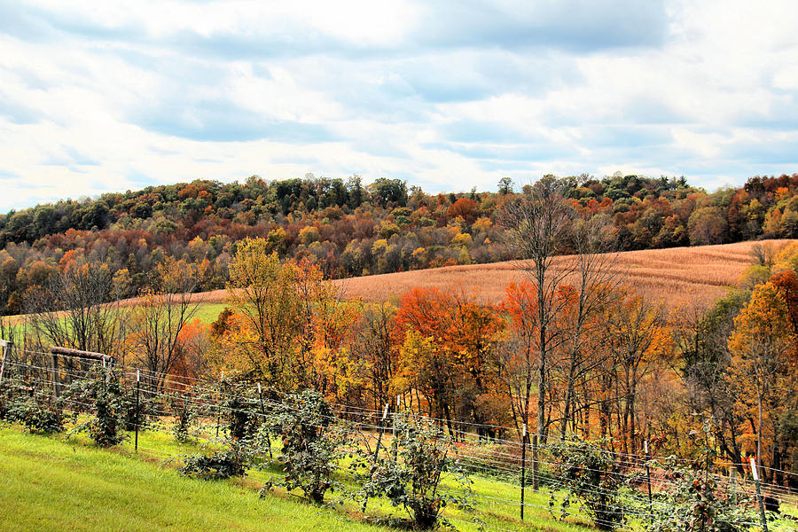 Amish country farm land Photograph by Gary Wilson