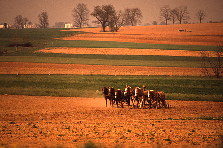 Amish Landscape Images Lancaster Pa Travelling To Amish Country Lancaster, Pennsylvania