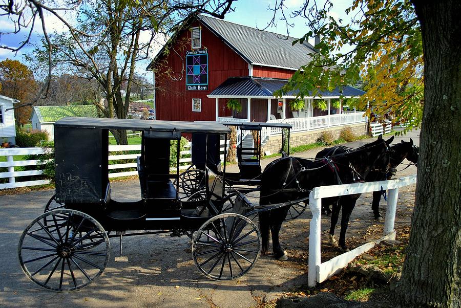 Horse Photograph - Amish Country Horse and Buggy by Frozen in Time Fine Art Photography