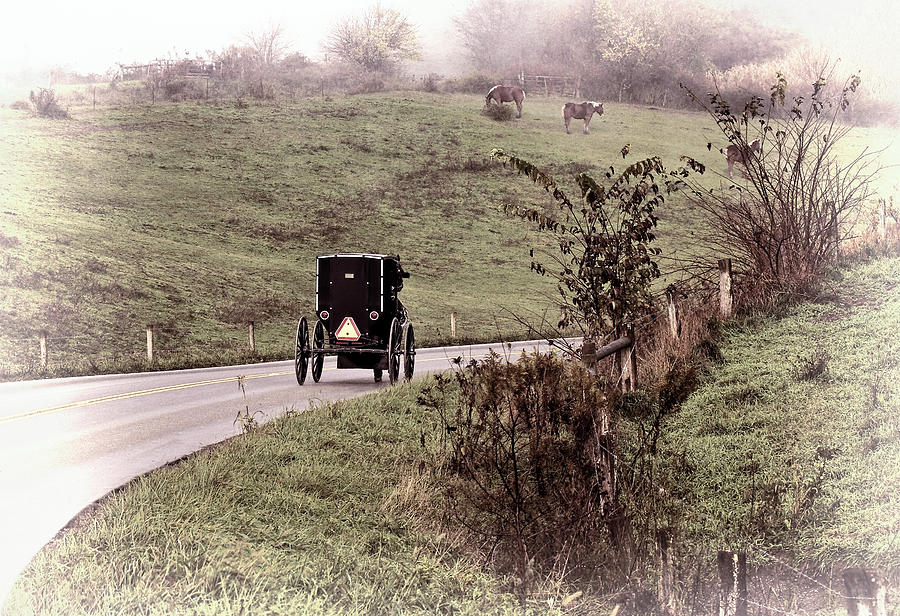 Horse Photograph - Amish Country by Marcia Colelli
