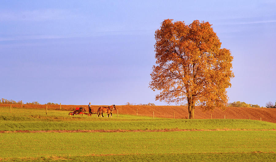Amish Country Photograph