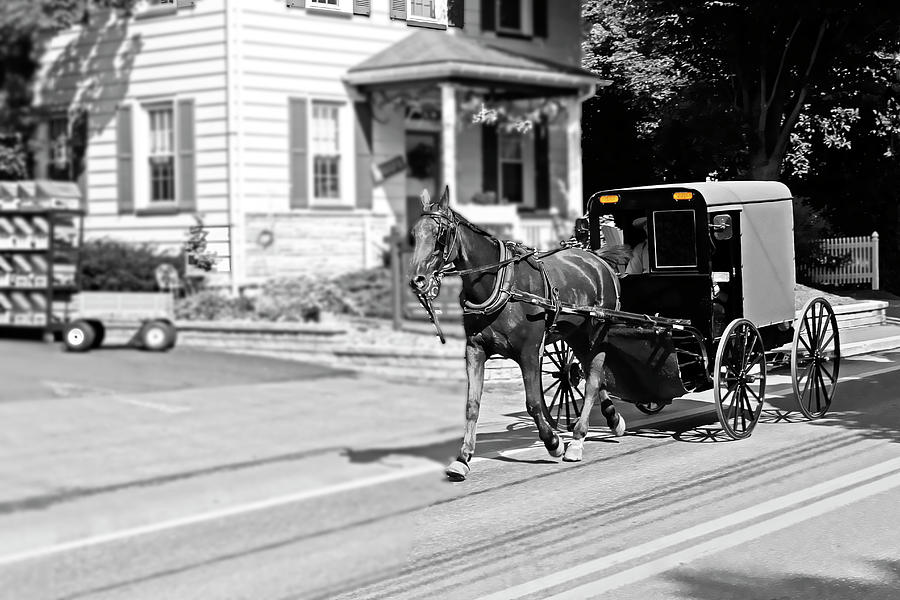 Amish Country Series 4064 Photograph by Carlos Diaz