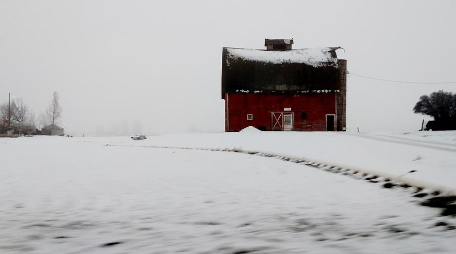 Amish Dairy Farm In Idaho Photograph By Peggy Leyva Conley | Fine Art ...