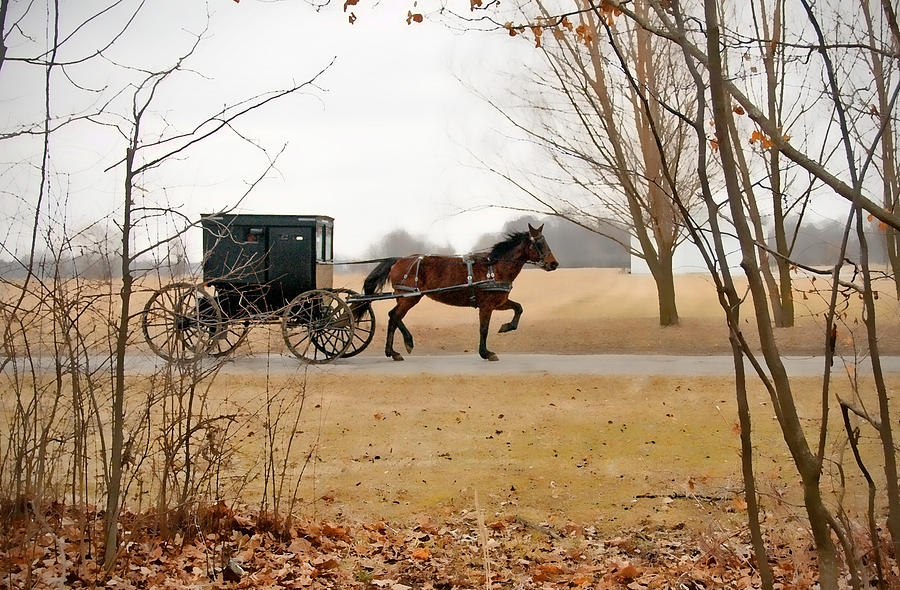 Amish Photograph - Amish Dream 1 by David Arment Amish Photograph - Amish Dream 1 by David Arment