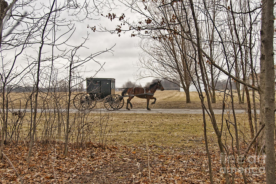 Amish Dreams ReDone Photograph by David Arment