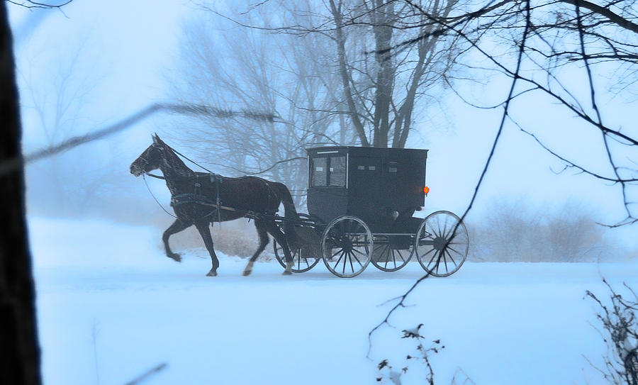Amish Dreamscape Photograph by David Arment