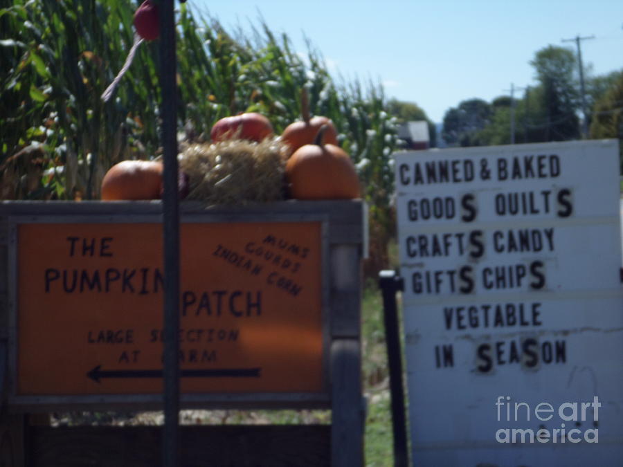 Amish Fall Farmstand Photograph by Christine Clark
