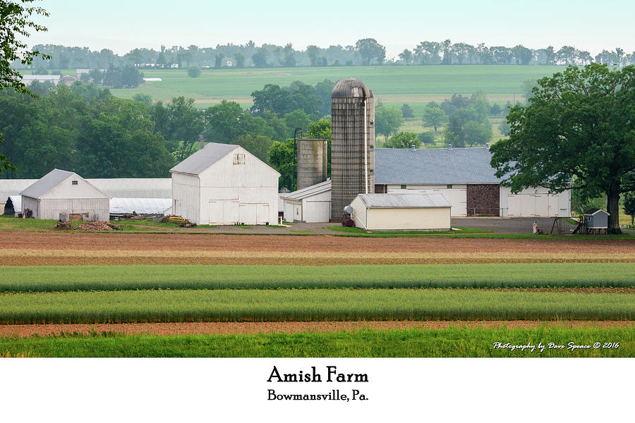 Amish Farm Photograph by David Speace