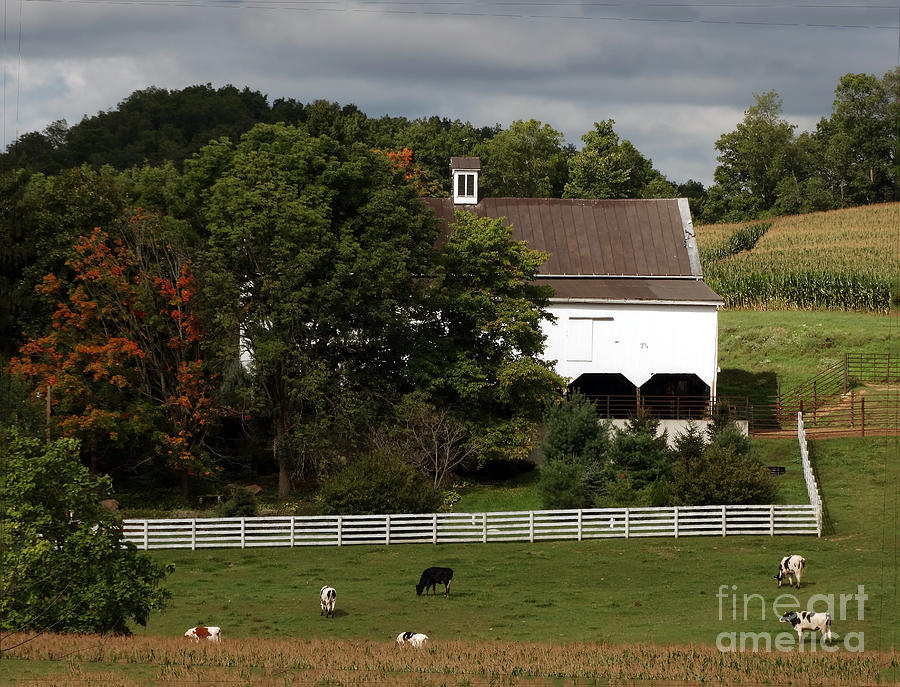 Amish Farm In The Fall Photograph