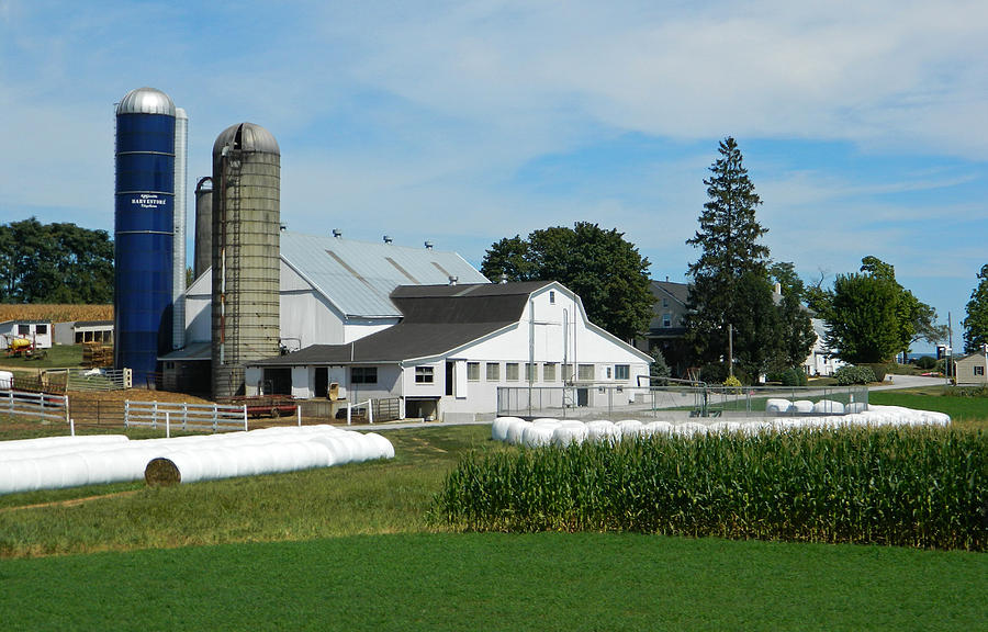 Amish Farm - Lancaster 02 Photograph