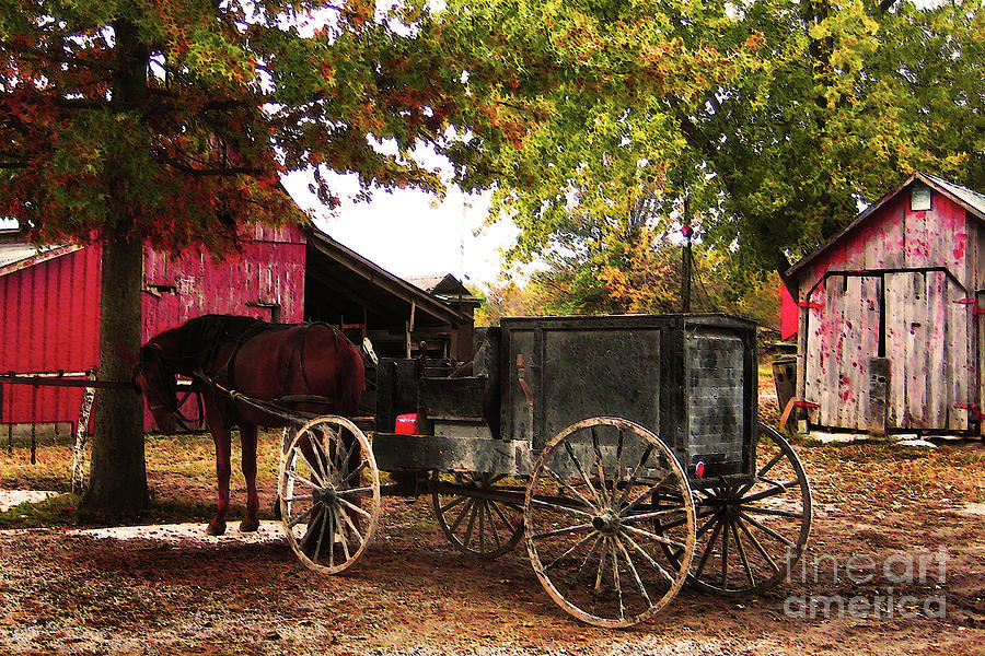 Amish Farm Wagon Photograph by Terril Heilman