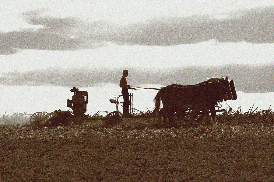 Amish Farmer 2 Photograph by Lou Ford