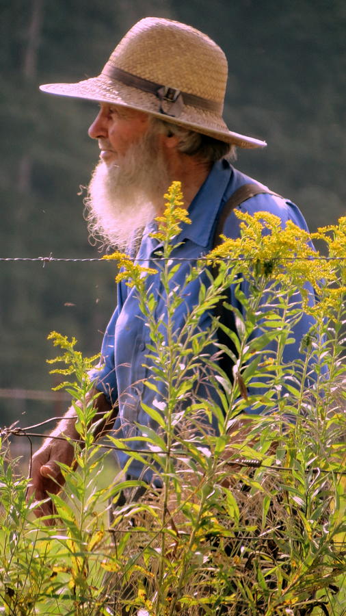 Amish Farmer Photograph by Kay Novy
