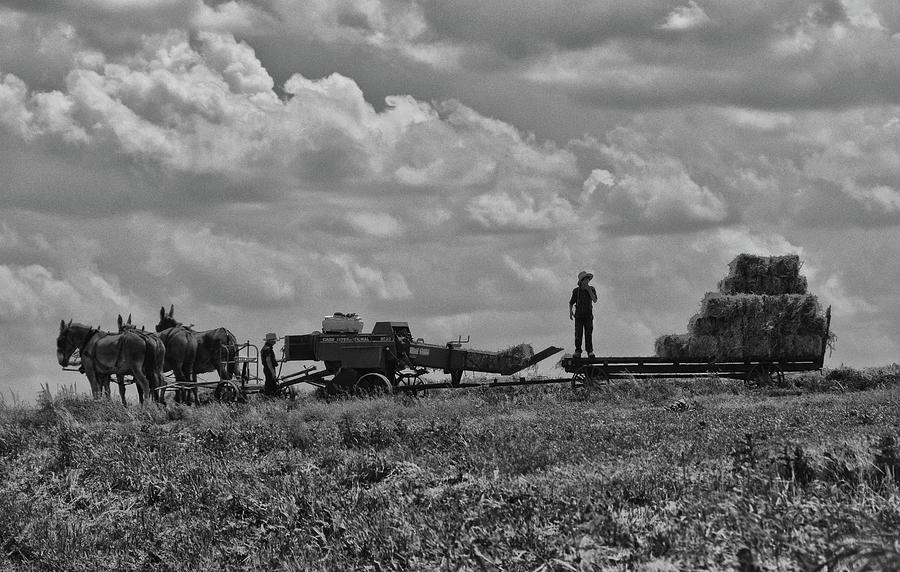 Amish Farming Photograph by Tricia Marchlik