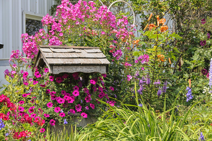 Amish Flowerbed Photograph by Betty Eich - Fine Art America