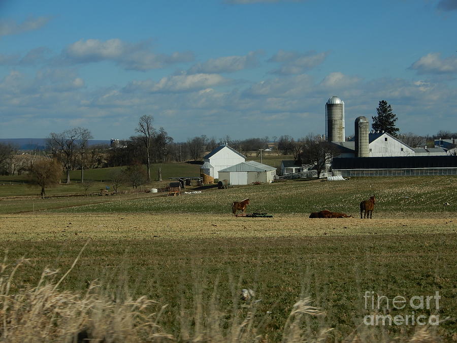 Amish Homestead 11 Photograph By Christine Clark Fine Art America   Amish Homestead 11 Christine Clark 