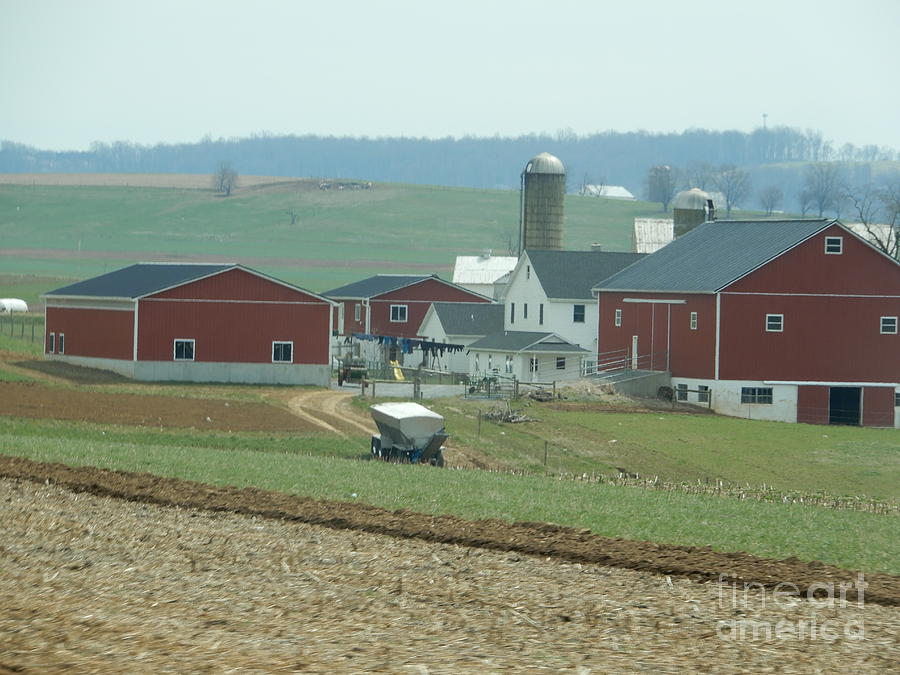 Amish Homestead 112 Photograph By Christine Clark Fine Art America   Amish Homestead 112 Christine Clark 